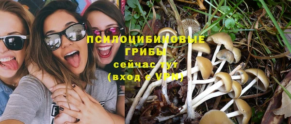 ГАЛЛЮЦИНОГЕННЫЕ ГРИБЫ Балабаново
