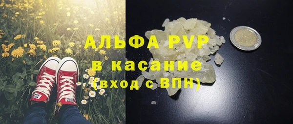 ГАЛЛЮЦИНОГЕННЫЕ ГРИБЫ Балабаново