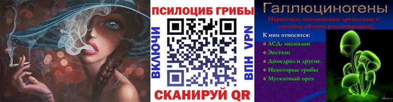 Купить где Кропоткин Псилоцибиновые грибы MAGIC MUSHROOMS